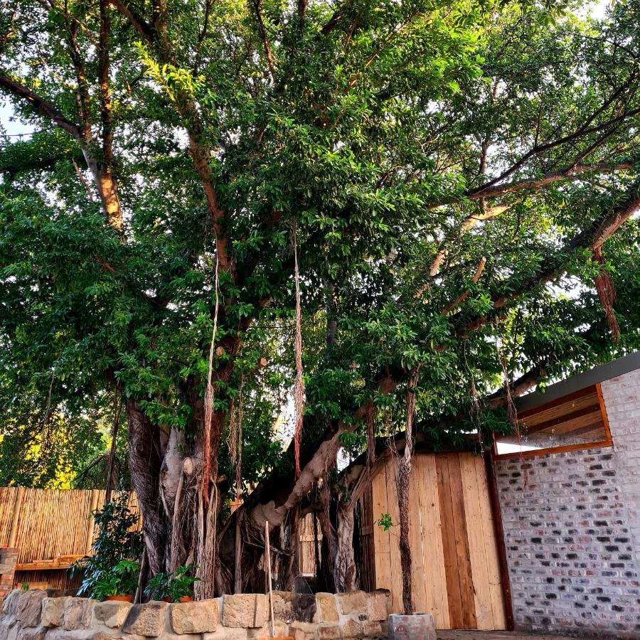 Uthando Backpackers Lodge 奥茨胡恩 外观 照片
